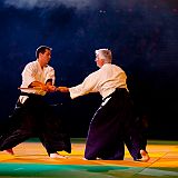 Aikido Ken
